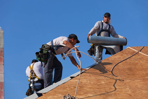 Best Commercial Roofing Services  in Mchenry, IL